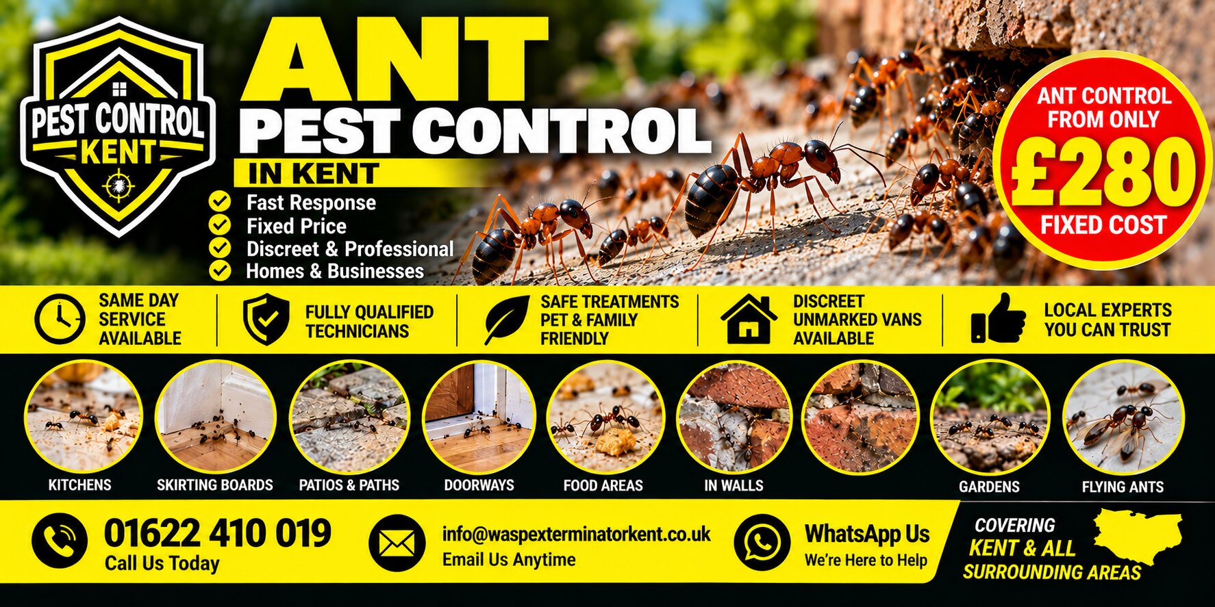 Ant Control in Cranbrook, Kent — Pest Control Kent 24, call 01622 410 019