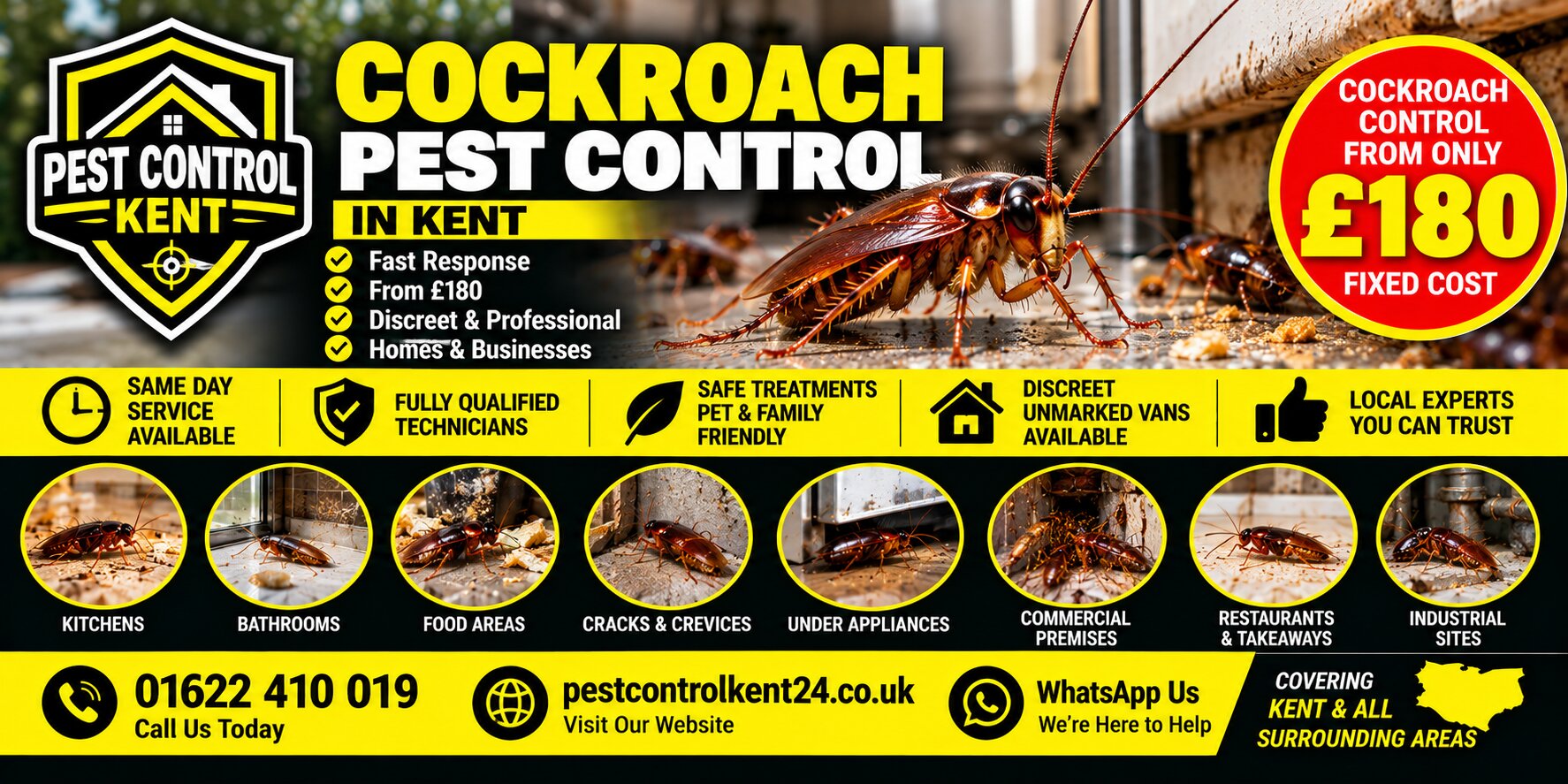 Cockroach Control in Cranbrook, Kent — Pest Control Kent 24, call 01622 410 019