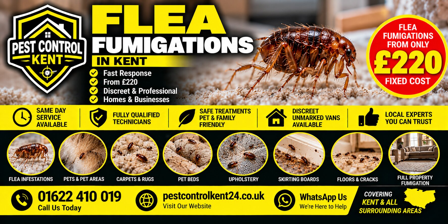 Flea Control in Edenbridge, Kent — Pest Control Kent 24, call 01622 410 019
