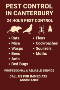 Pest Control in Canterbury