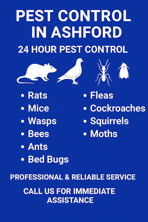 Pest- Control Ashford