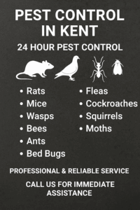 Pest Control Kent